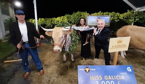 ‘Blanca’, la vaca representante de A Coruña, coronada como Miss Vaca 2023