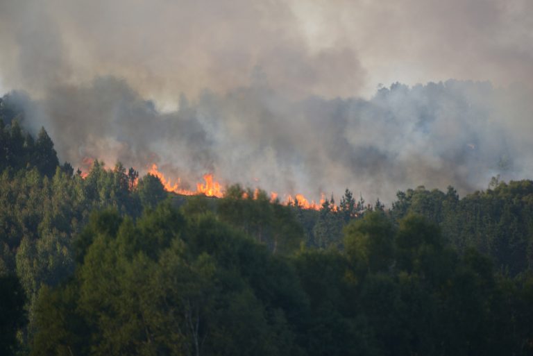 Rural.- Un incendio ya controlado quema 10 hectáreas en Vilalba (Lugo)