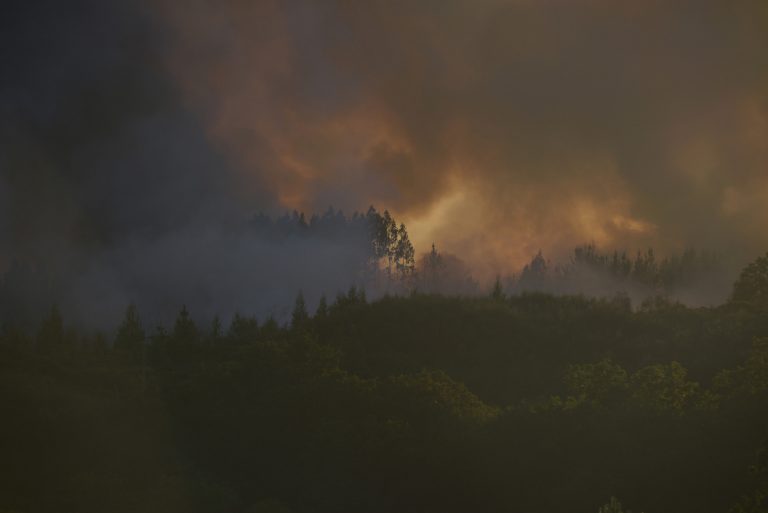 Controlados dos incendios en Quiroga (Lugo) que calcinan en total más de 26 hectáreas