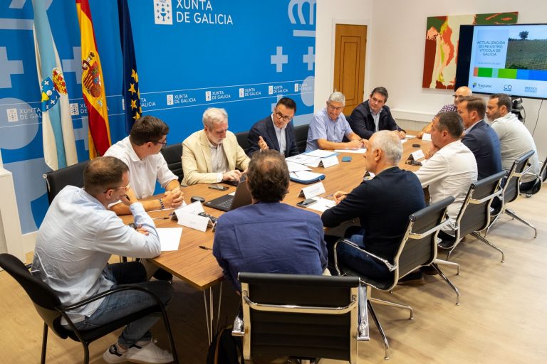 Rural.- Avanza la actualización del registro vitícola de Galicia, con el sector preocupado por el abandono