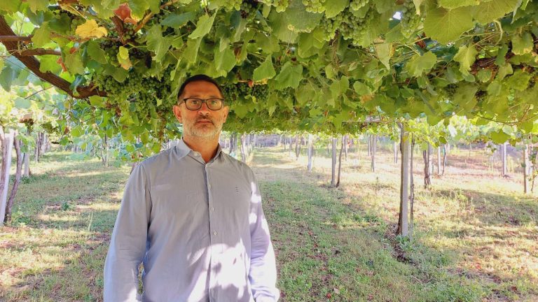 Rural.- José Simón Ferro, nuevo presidente de la Asociación Ruta del Vino Rías Baixas