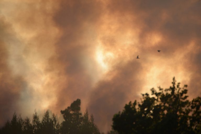 Rural.- El incendio de Rubiá (Ourense) asciende a 15 hectáreas, pero está estabilizado y «evoluciona favorablemente»