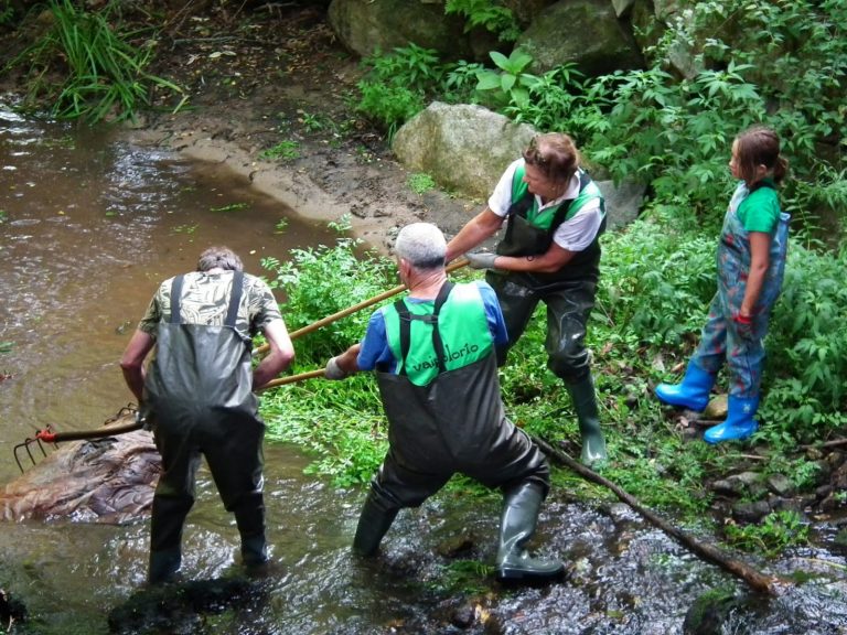 Vaipolorío culmina su 23ª campaña de limpieza del río Gafos (Pontevedra) tras retirar más de 1,5 kilos de residuos