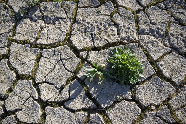 Rural.- La reunión de ministros de Agricultura aborda desde este domingo nuevas tecnologías para el sector alimentario
