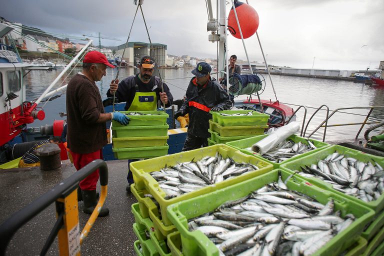 Pesca.- Vigo acoge a partir del lunes la reunión anual para fijar las cuotas de NAFO