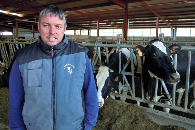 Productores lácteos acusan a industria y distribución de «provocar cierre de granjas» y no descartan protestas
