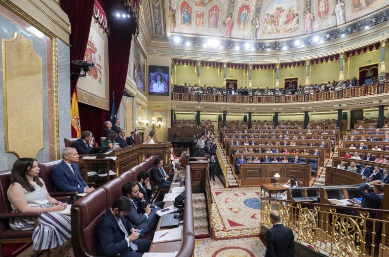 El Congreso gasta más de 53.000 euros sólo en medios técnicos para garantizar la traducción de lenguas cooficiales