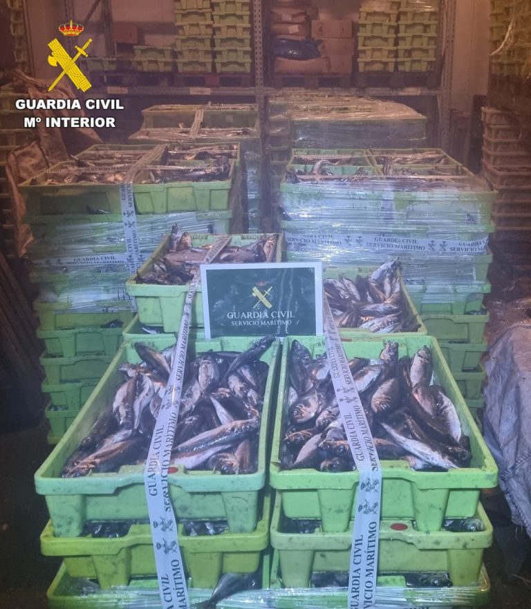 Pesca.- Incautan más de tres toneladas de jurel en el puerto de Camariñas (A Coruña)