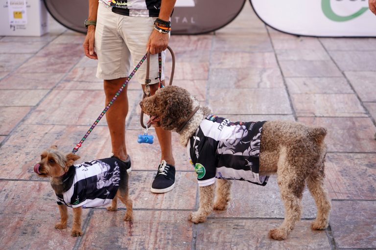 Los farmacéuticos recuerdan que ningún animal, salvo los perros de asistencia, puede entrar en sus establecimientos