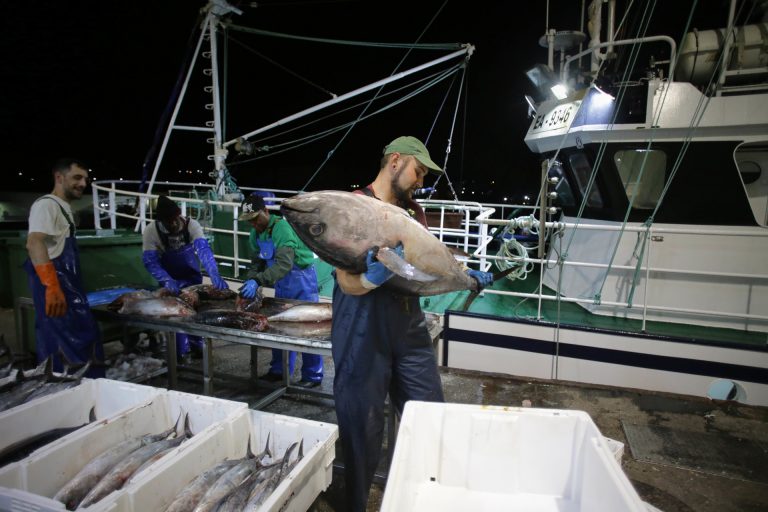 Pesca.- TJUE celebra el 23 y 24 de octubre la vista por la inclusión del Sáhara en el acuerdo pesquero UE-Marruecos