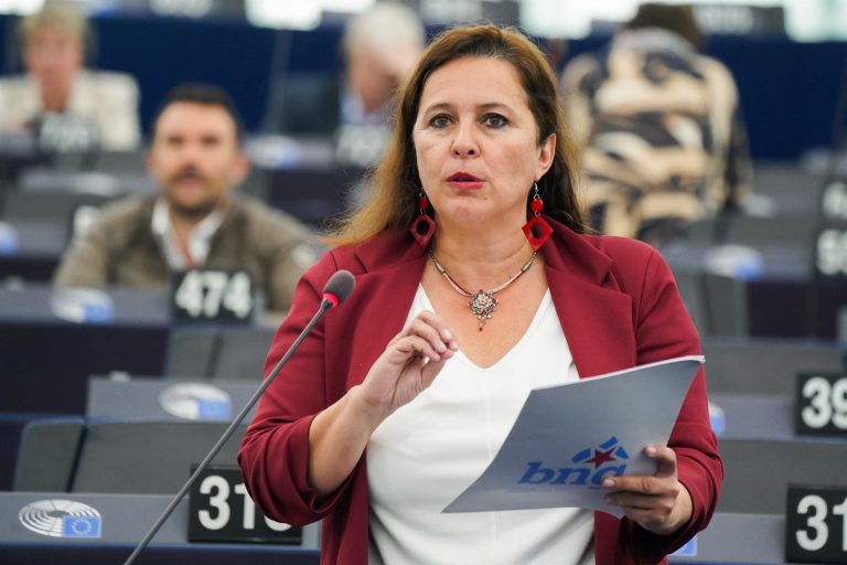 Miranda (BNG) defiende en la Eurocámara regular los pisos turísticos y una política de vivienda accesible