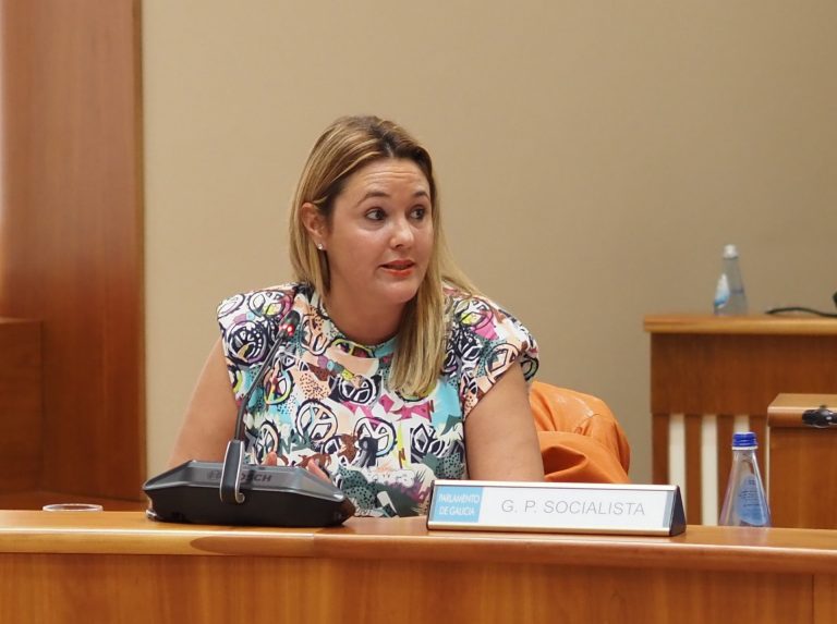 El PSdeG critica que la Xunta «defiende la Constitución por la mañana y la incumple por la tarde» por la ley del litoral