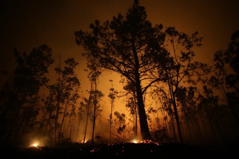 Rural.- Desactivan la alerta por proximidad del fuego a casas en el incendio de Trabada, que evoluciona «favorablemente»