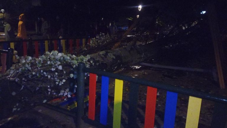 La Policía Local de Vigo atendió 70 incidencias por el temporal este martes y Lugo vuelve a cerrar los parques