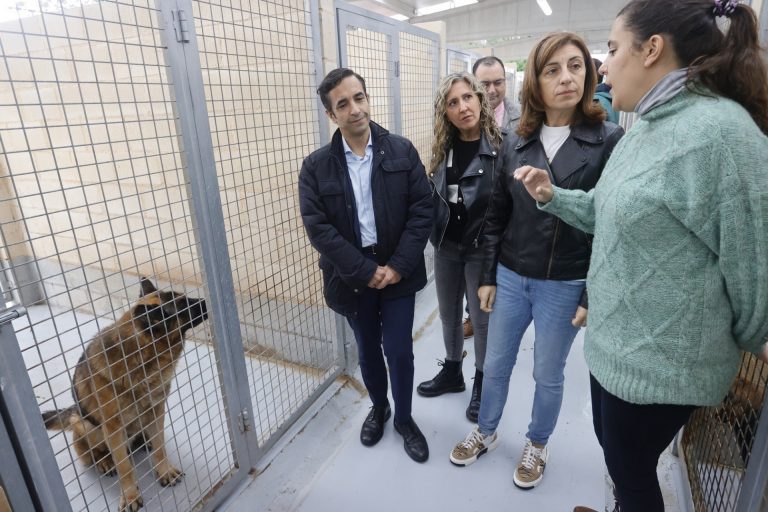 La Xunta mantiene en 2024 el apoyo a ayuntamientos y a las protectoras para cuidar a animales domésticos abandonados