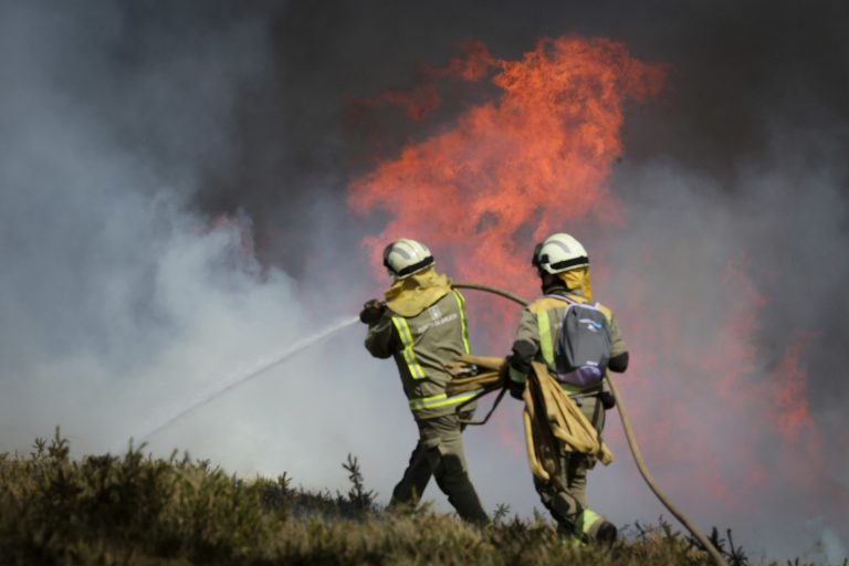 El fuego arrasa 81.005 hectáreas en lo que va de 2023 en España, más del 40% en la zona noroeste