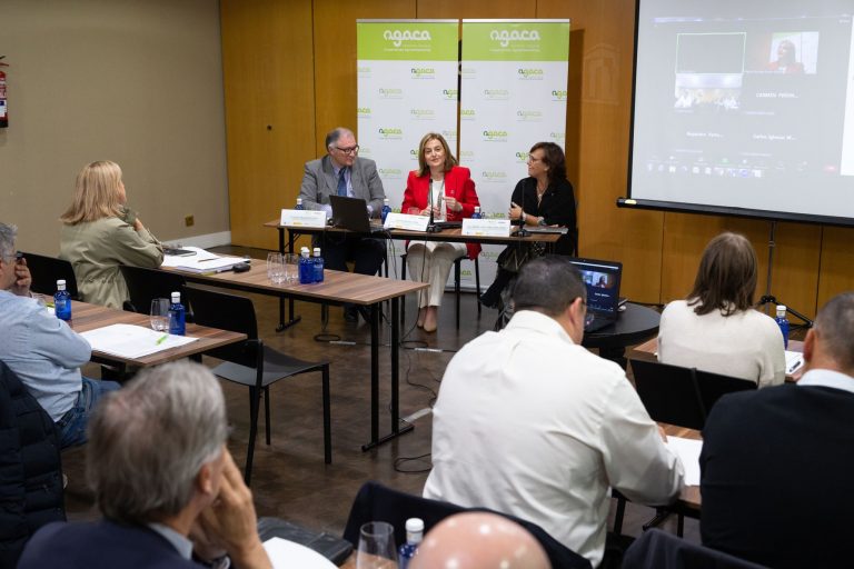 Los presupuestos de la Xunta para la economía social se incrementan un 3% en 2024, hasta los 43,6 millones