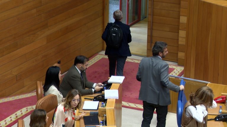 Pleno.- Bronca en el Parlamento al decir Rueda que el BNG «desprecia a los mayores porque dicen que no saben votar»