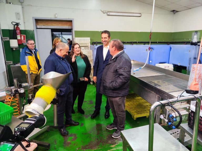 Pesca.- El conselleiro do Mar pide al Gobierno que dé marcha atrás en su recurso ante el TC contra la ley de litoral
