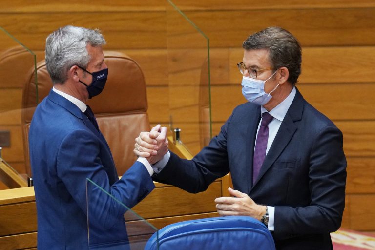 Consello.- Rueda reconoce que no se reservó presupuesto para el monumento a las víctimas de la covid que prometió Feijóo