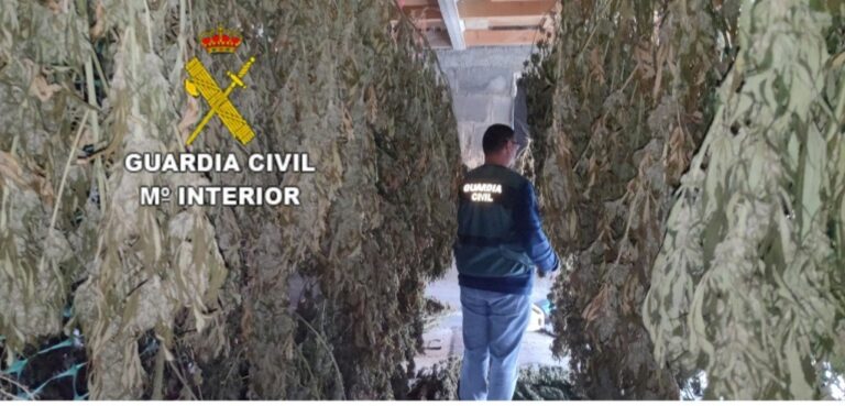 Dos detenidos y una empresa investigada por cultivo y distribución de marihuana desde Lalín y Silleda