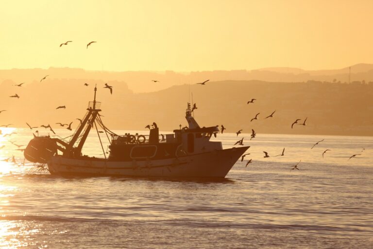 Los 27 piden «equilibrar» los pilares de la Política Pesquera Común en las cuotas de 2024