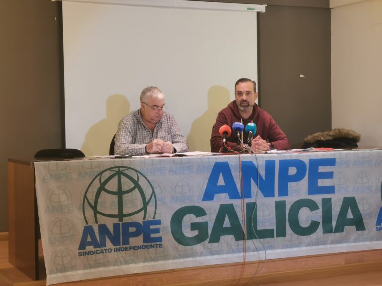 La asistencia psicológica ocupa más de la mitad de las solicitudes de ayuda al Defensor del Profesor de ANPE en Galicia