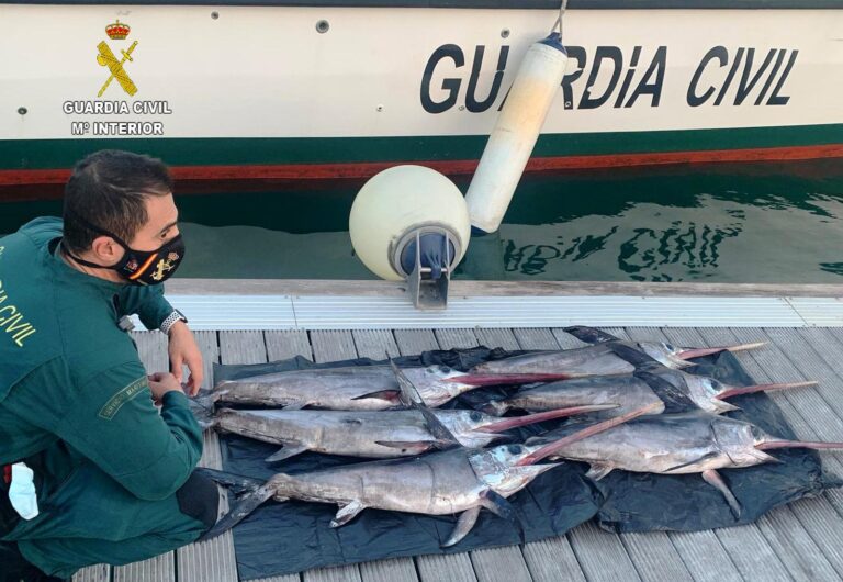 El Ministerio de Agricultura entregará al Banco de Alimentos 100 toneladas de pez espada decomisadas por pesca ilegal