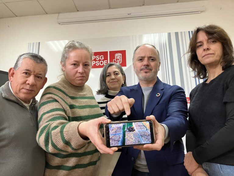 PSdeG pide a Xunta «medidas rápidas» para las mariscadoras ante la «pérdida completa» de la campaña de Navidad