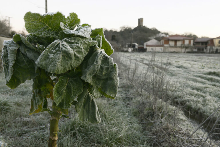 Calvos de Randín (Ourense) marca -8,8 grados en una madrugada de heladas en el interior de Galicia