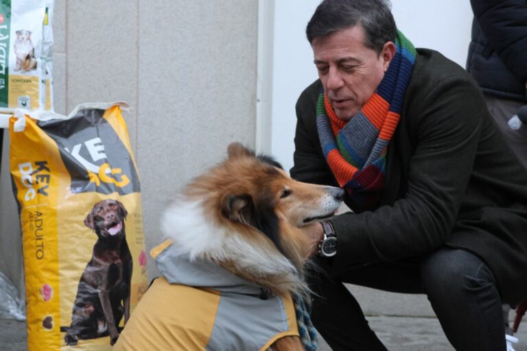 Besteiro (PSdeG) hace un llamamiento a la adopción animal responsable en Navidad: «Las mascotas no son juguetes»