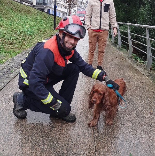 Rescatan en Cambre (A Coruña) a un perro que se había caído a la Ría del Burgo