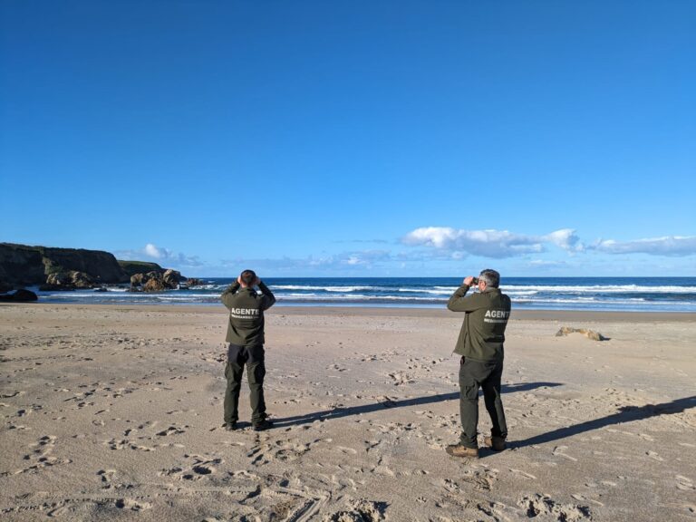 Asturias activa el Plan por Contaminación Marina Accidental ante la aparición de microplásticos