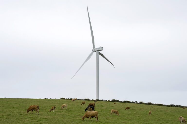 Norvento Enerxía y Alpiq refuerzan su alianza para la representación de seis de sus parques eólicos en Galicia