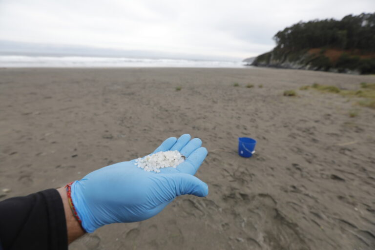 El conselleiro do Mar reconoce que la Xunta supo de los pellets el 13 de diciembre, pero sin conocer «de dónde vienen»