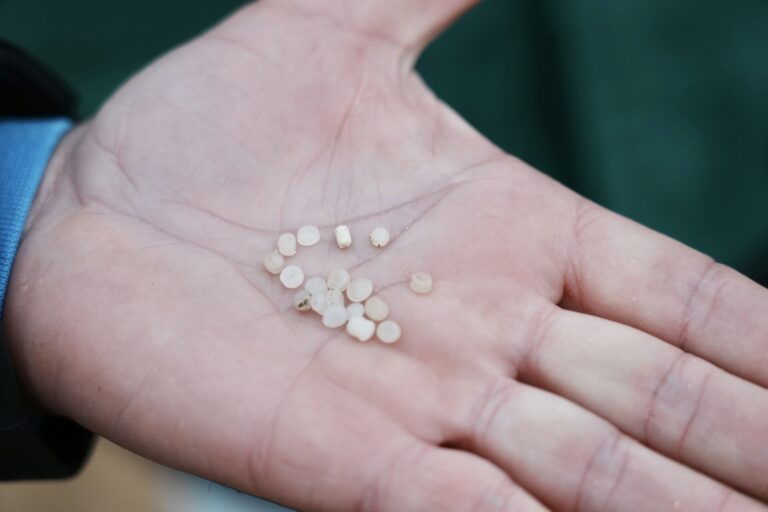 Euskadi dice que el jueves sabrán si plásticos detectados son del Toconao y que «todas las posibilidades están abiertas»