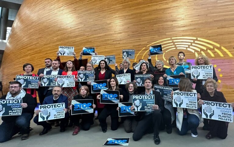 Pélets.- Eurodiputados de cinco grupos expresan su «solidaridad» con Galicia y denuncian la contaminación por el vertido
