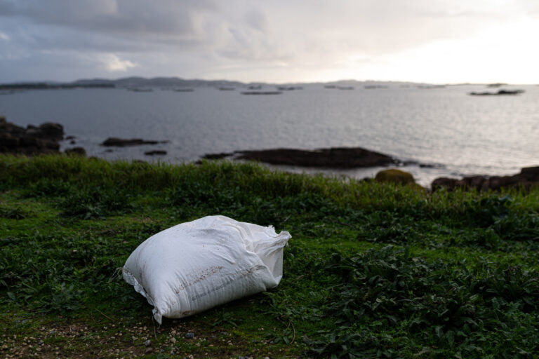 Pélets.- Agente medioambiental de la Xunta localizó pélets en varias playas de Ribeira y Porto do Son el 13 de diciembre