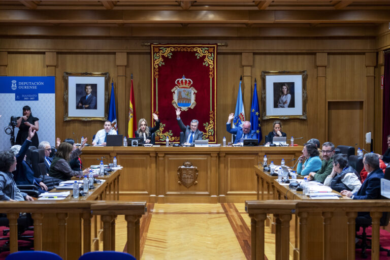 El pleno provincial de Ourense, marcado por la precampaña de las elecciones gallegas y los problemas de la sanidad