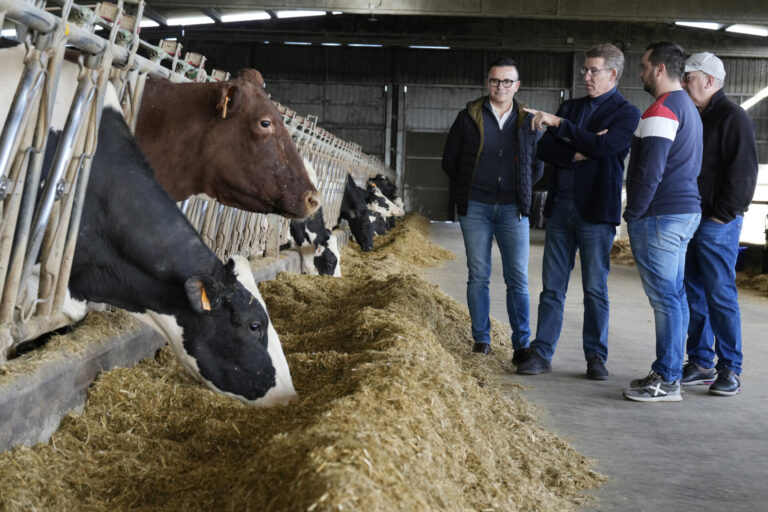 Rural.- La Xunta se pone «al lado» de las tractoradas y exige a Planas «liderar ese movimiento» junto a agricultores