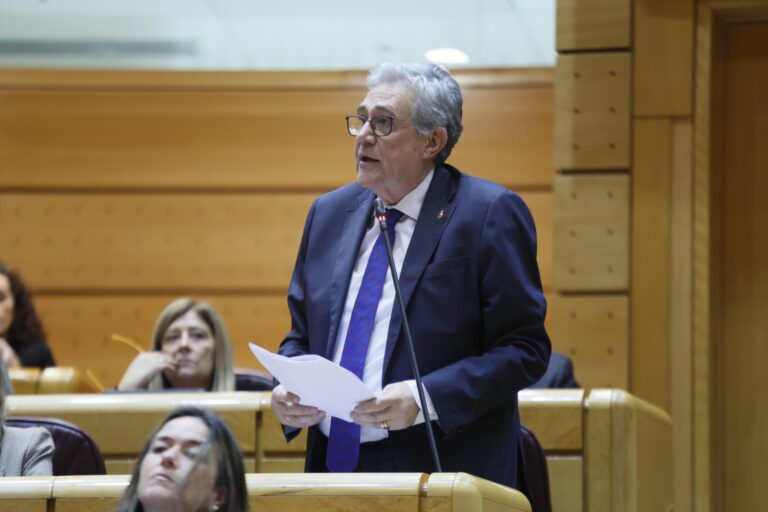 El PP exige al Gobierno que «cumpla la ley» y financie el 50% de la dependencia en Galicia