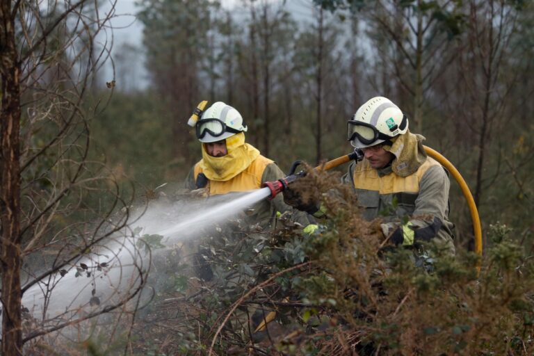 Extinguido el incendio forestal de Trabada (Lugo)