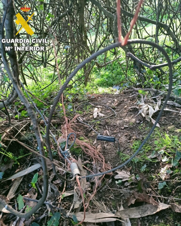 Investigado un vecino de Cambre por delitos contra la flora y la fauna al cazar usando lazo de acero y sin autorización