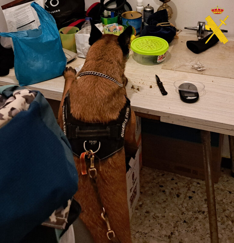 Cerrada con 11 detenidos la operación contra una organización criminal asentada en Lugo dedicada al tráfico de drogas