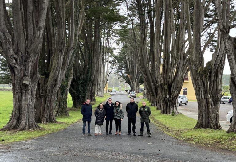 La Xunta incorpora al catálogo de árboles singulares una formación de cipreses en Ribadeo