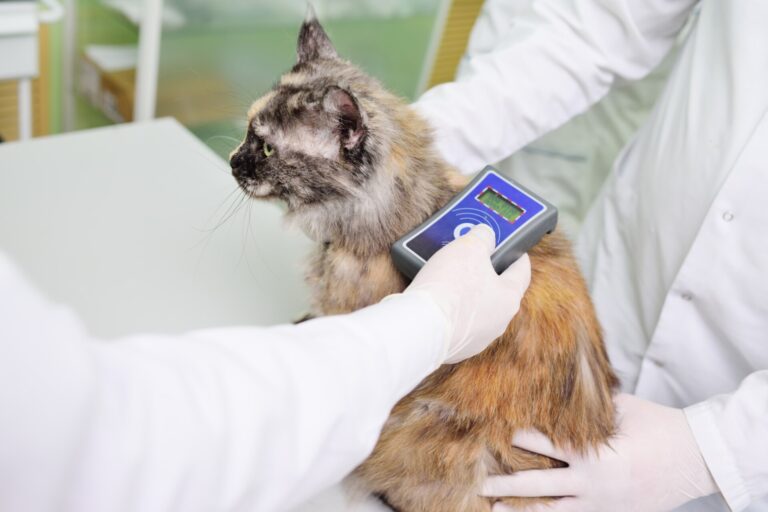 Publicado el decreto para que los veterinarios puedan emplear medicamentos humanos de uso hospitalario con animales