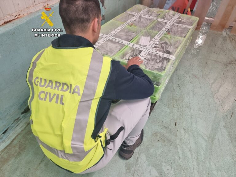 Pesca.- Incautados 150 kilos de sardinas en el puerto de Ribeira (A Coruña)