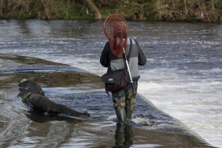 Galicia arranca este domingo la temporada de pesca fluvial al habilitar la captura de truchas y carpas