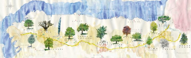 Correos entrega a los peregrinos del Camino Francés una guía de árboles para conmemorar el Día de los Bosques