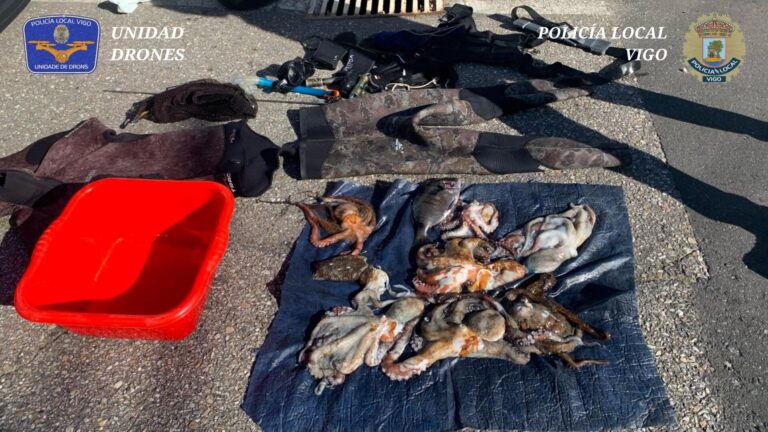 Interceptados en Vigo 2 pescadores furtivos, uno de ellos con pulpos con un peso inferior a la mitad del mínimo exigido